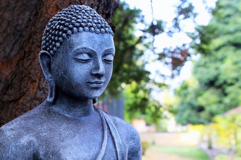 El poder del pensamiento 3 Meditacion profunda