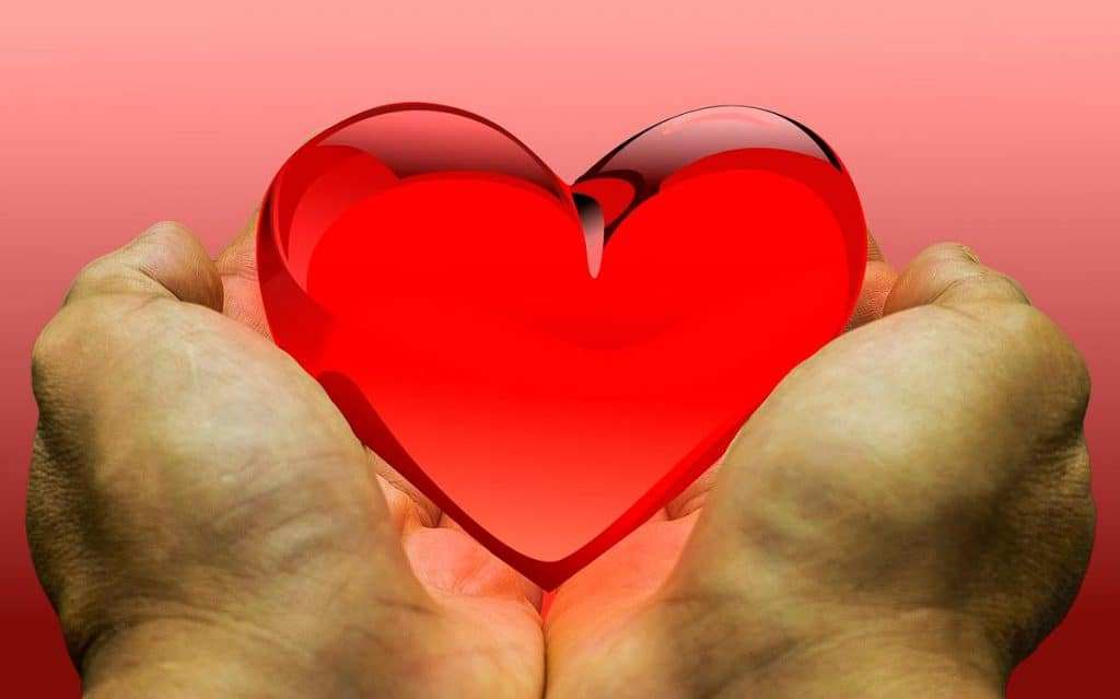 donar 1024x639 1