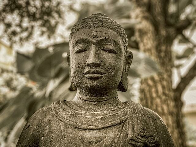 mediacion tao orden natural